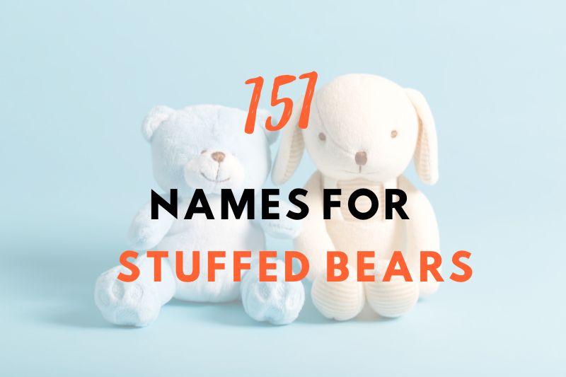 Names for Stuffed Bears