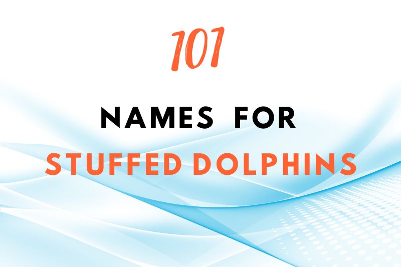 Names for Stuffed Dolphins