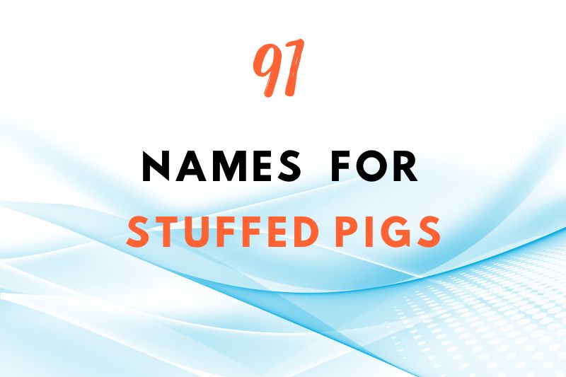 Names for A Stuffed Pig