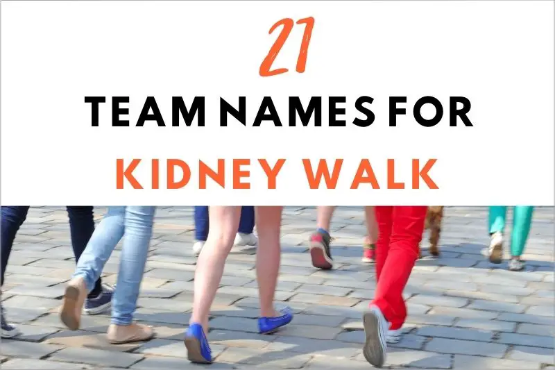 Team Names for Kidney Walk