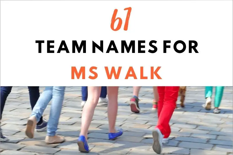 Team Names for MS Walk