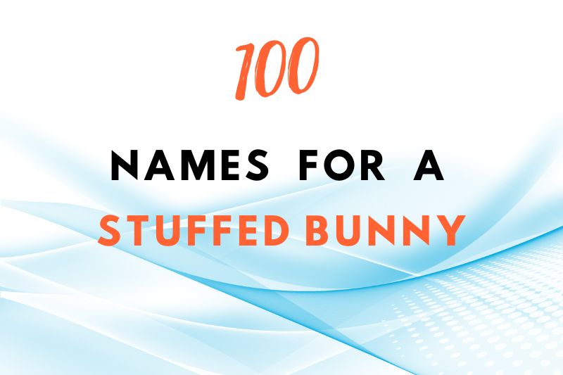 Names for a stuffed bunny