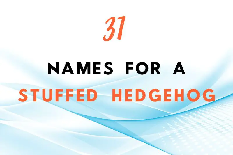 names for a stuffed hedgehog