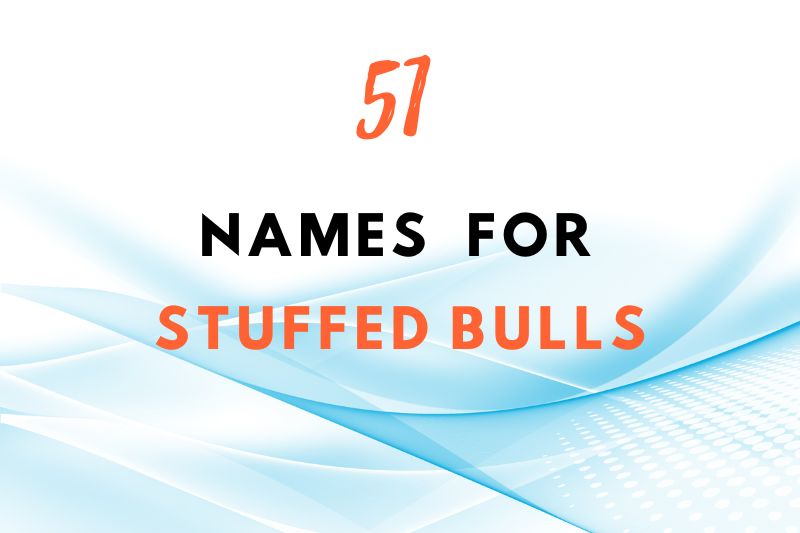 names for stuffed bulls