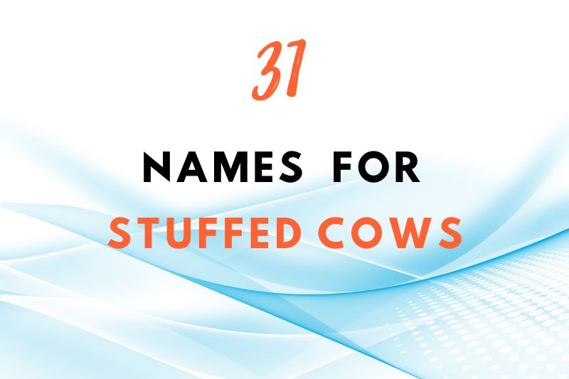 names for stuffed cows