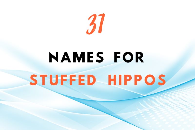 names for stuffed hippos