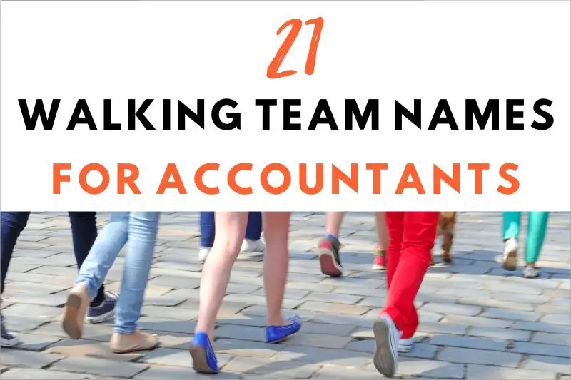 Walking Team Names For Accountants