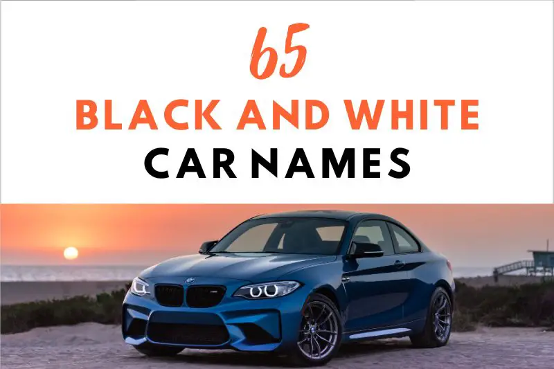 Funny White Car Names Male