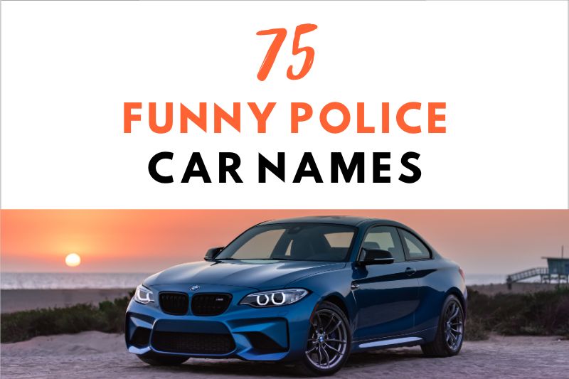 Funny Police Car Names