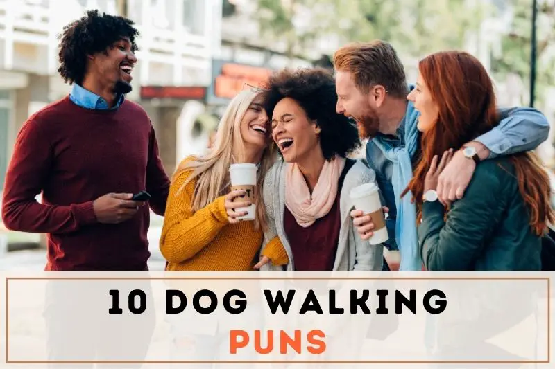 Dog Walking Puns