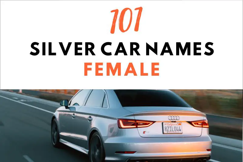 Silver Car Names Female