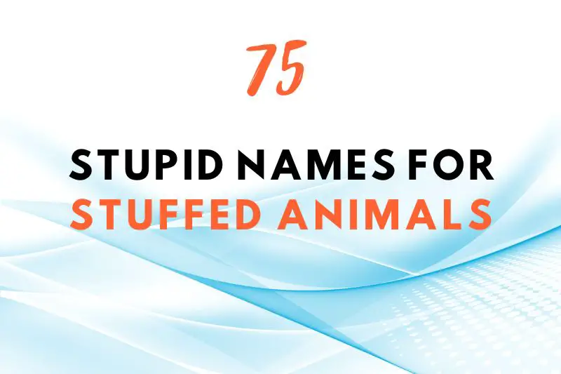 Stupid Names for Stuffed Animals