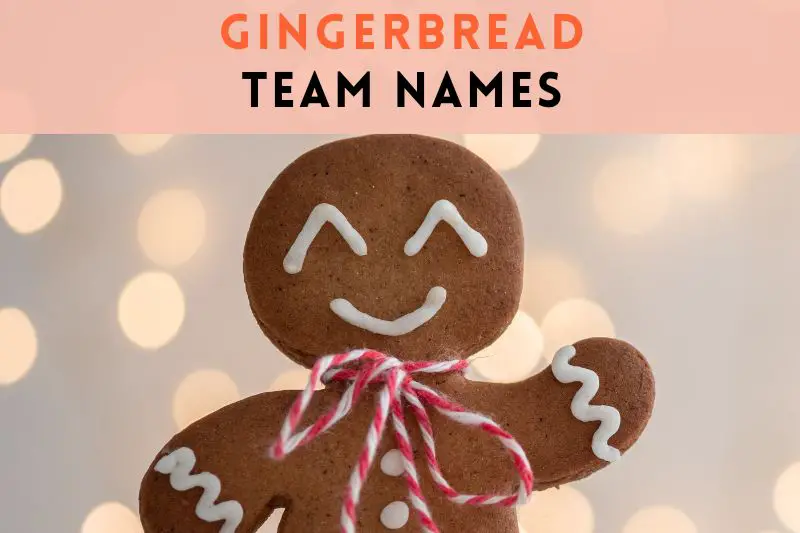 Gingerbread Team Names