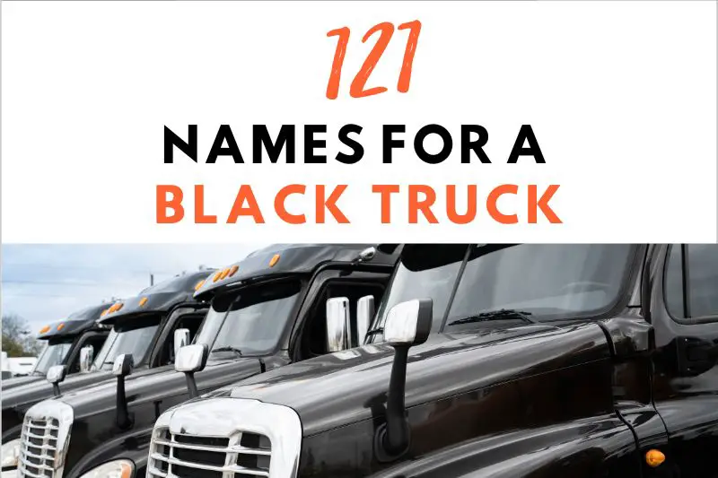 Names for a Black Truck 