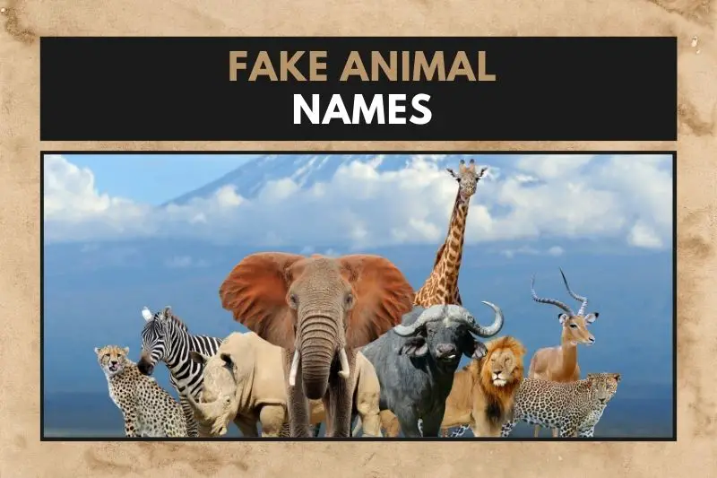 Fake Animal Names