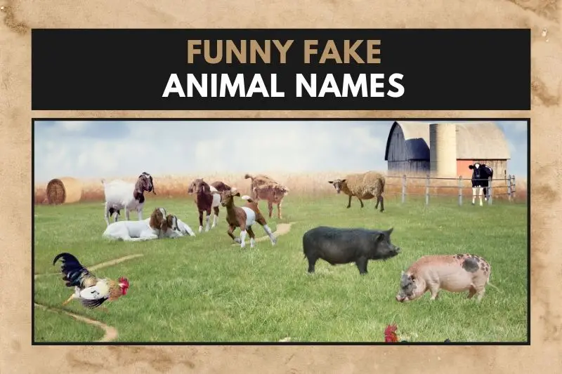 Funny Fake Animal Names