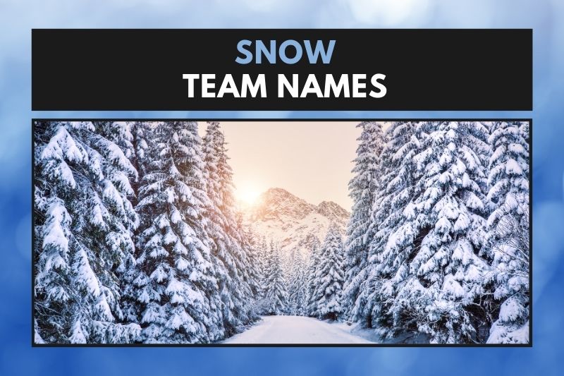 Snow Team Names