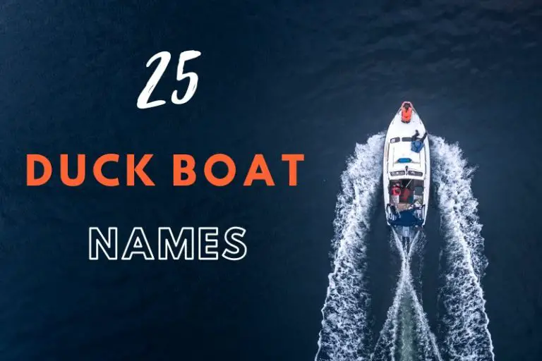 Duck Boat Names