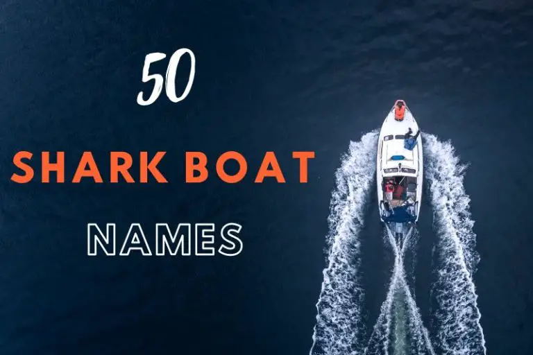Shark Boat Names