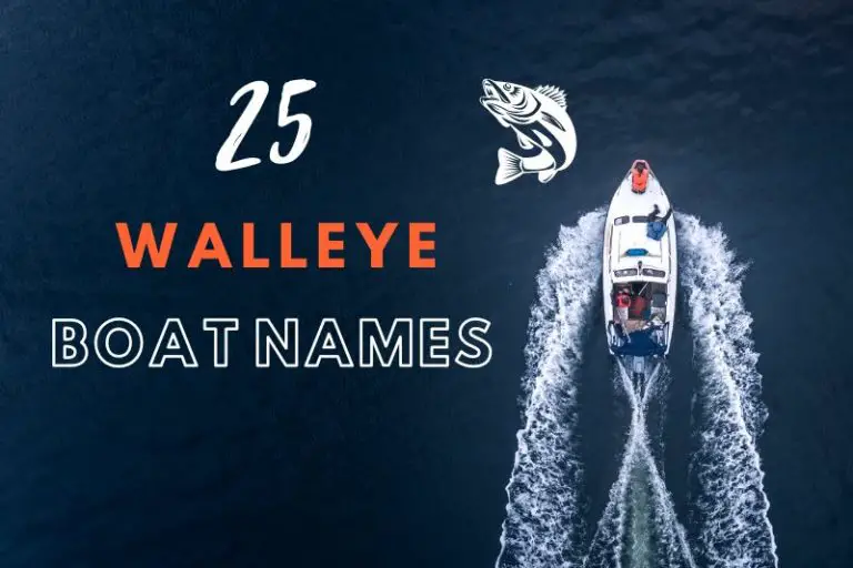 Walleye Boat Names
