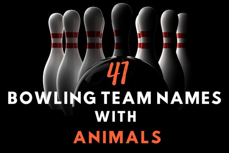 Bowling Team Names with Animals