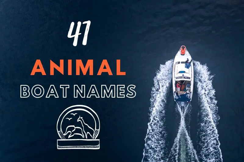 Animal Boat Names