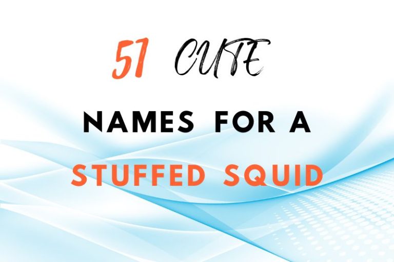 Cute names for a stuffed squid