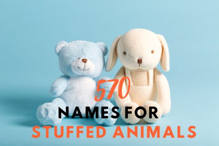 Names for Stuffed Animals