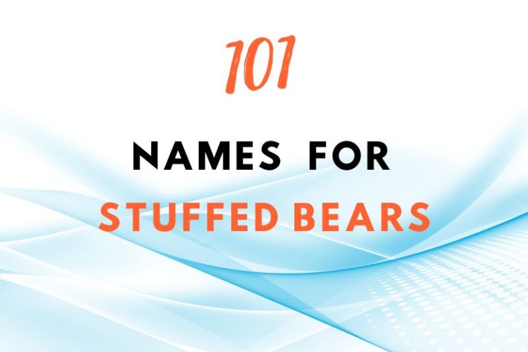 Names for Stuffed Bears