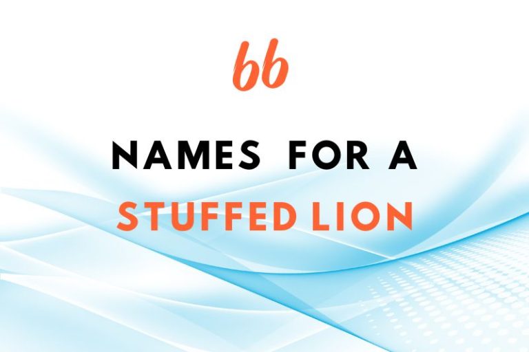 Names for a stuffed lion