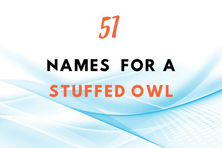 Names for a stuffed owl