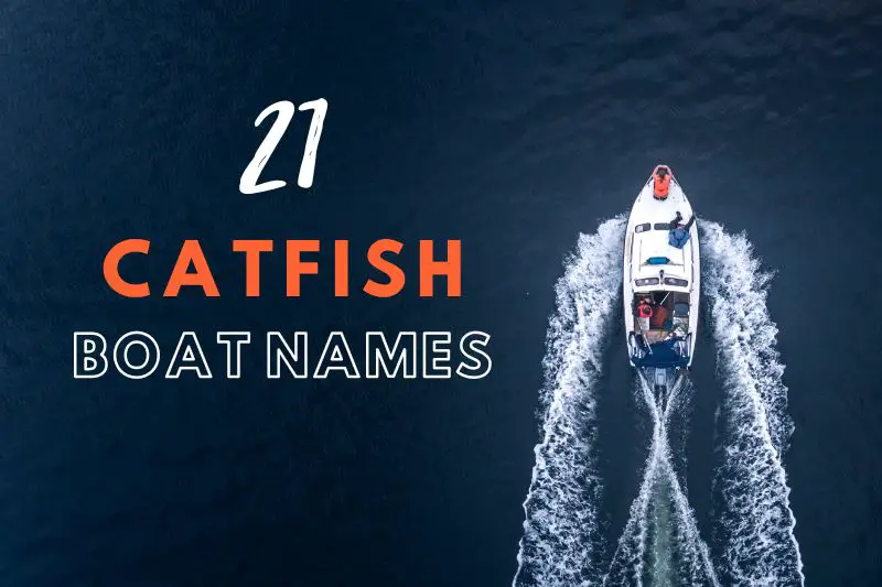 Catfish Boat Names