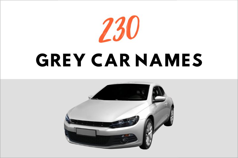 Grey Car Names