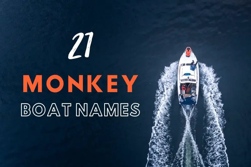 Monkey Boat Names