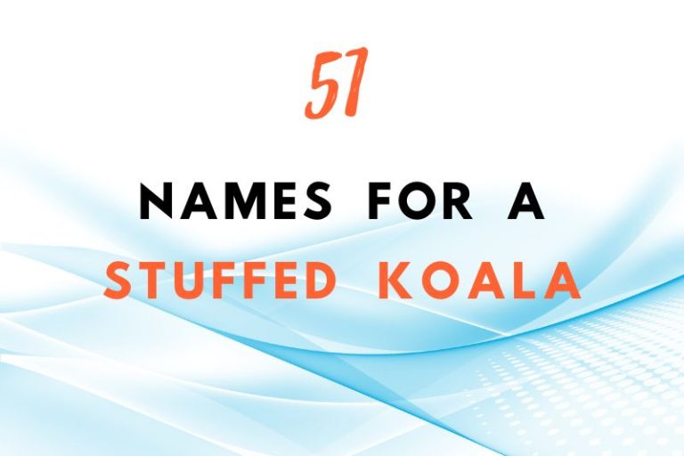 51 Adorable Names for a Stuffed Koala