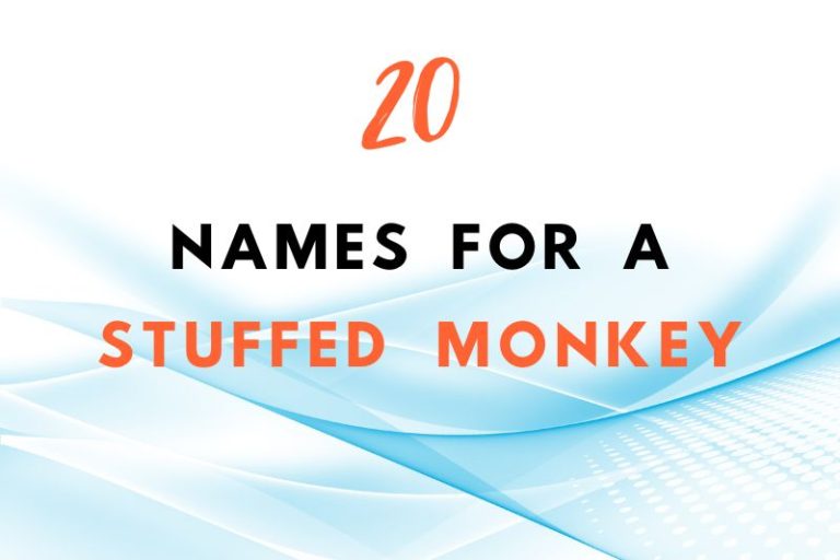 names for a stuffed monkey