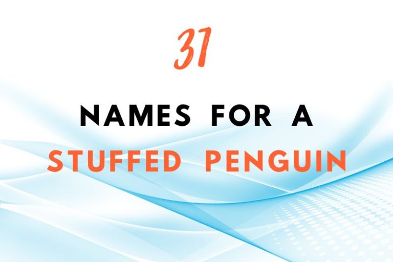 names for a stuffed penguin