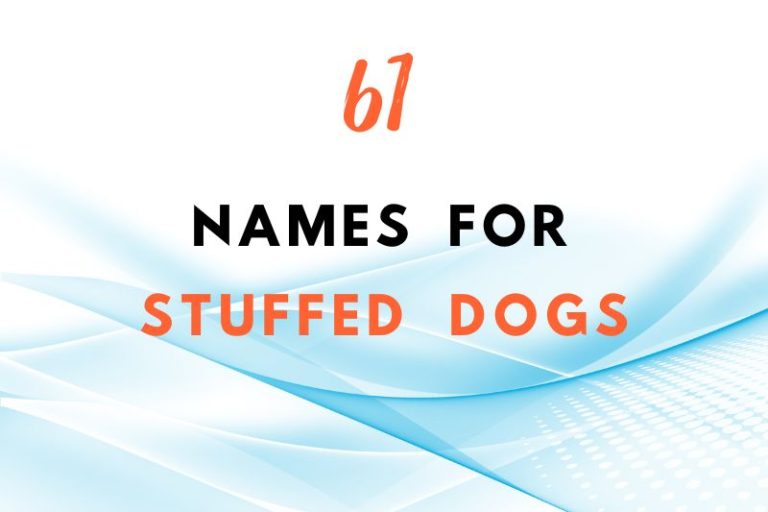 61 Adorable Names for Stuffed Dogs