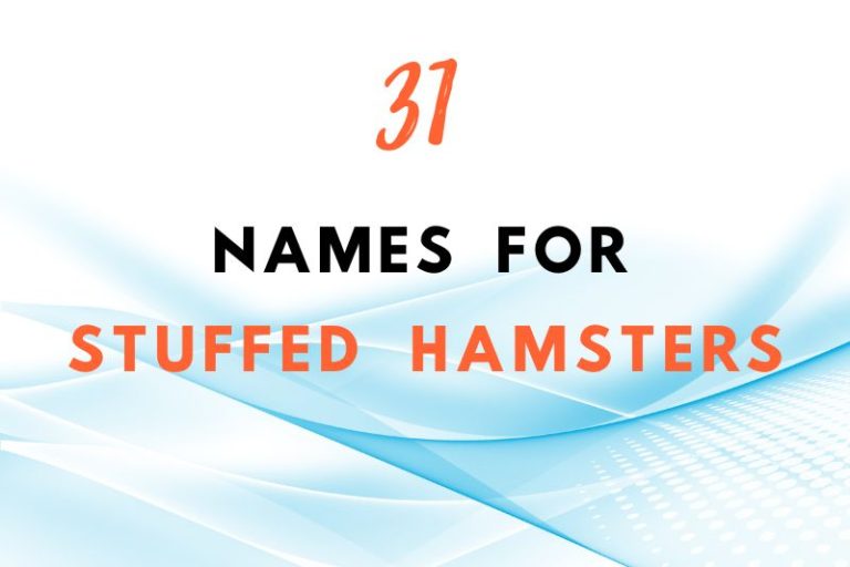 names for stuffed hamsters