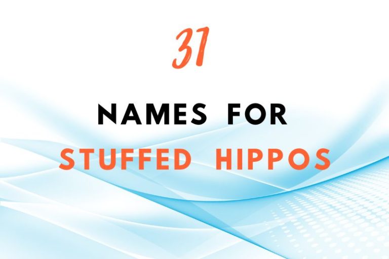 31 Adorable Names for Stuffed Hippos