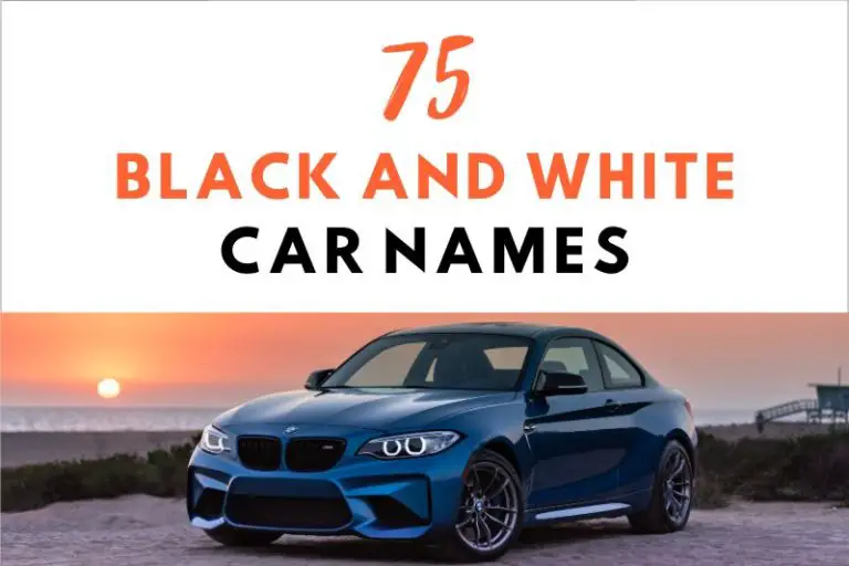 65 Ideal Black and White Car Names Perfect for Your Ride