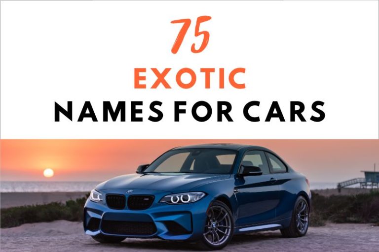 75 Exotic Names For Cars That Will Make Heads Turn