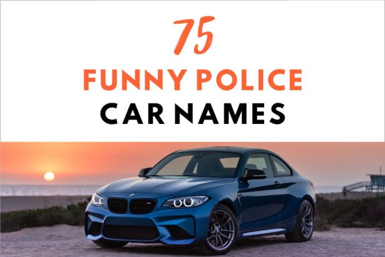 75 Funny Police Car Names That’ll Make You Chuckle