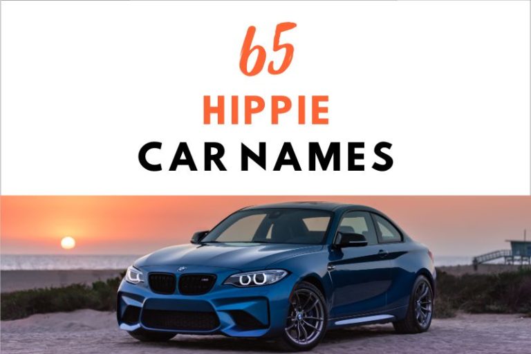 65 Hippie Car Names to Inspire Your Home on the Road