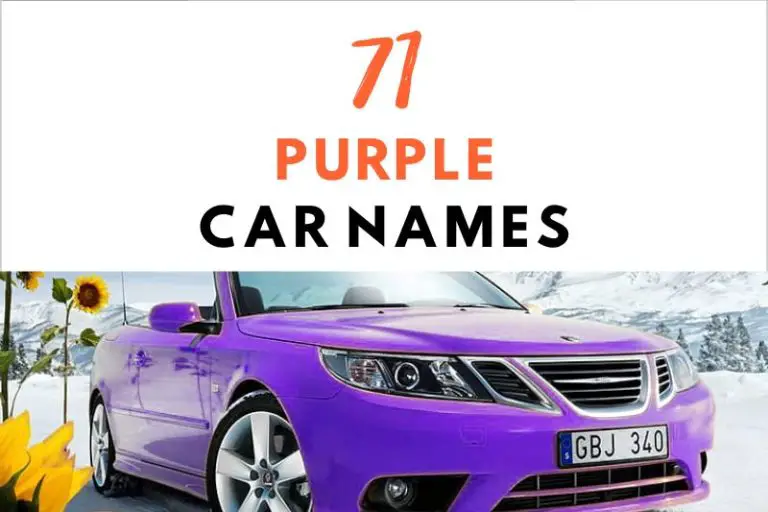 71 Ideal Purple Car Names for Your Vehicle to Standout