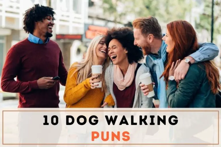 Pawsitively Punny: 10 Hilarious Dog Walking Puns