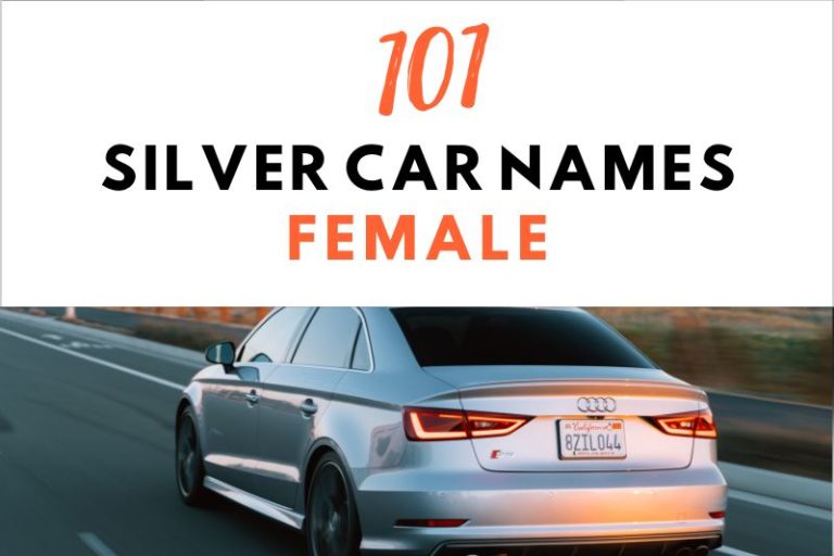 101 Fantastic Silver Car Names Female