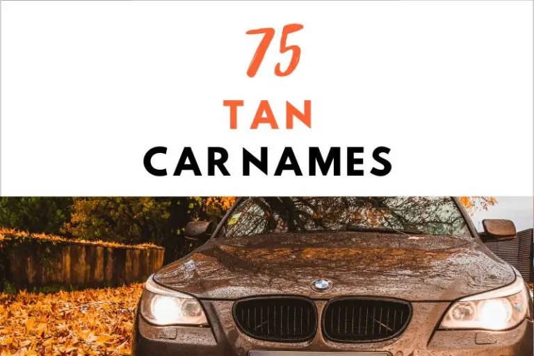 75 Fun and Creative Tan Car Names