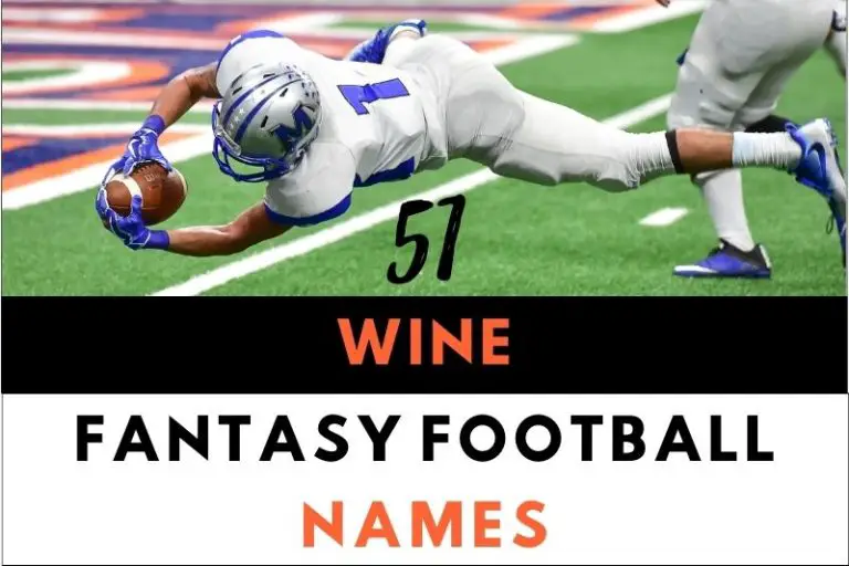 51 Vintage Wine Fantasy Football Names