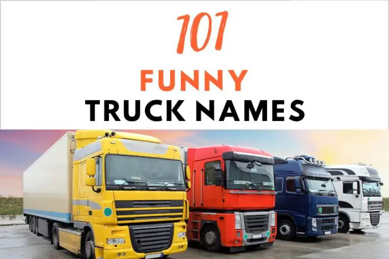 101 Laugh-Out-Loud Funny Truck Names To Make Heads Turn